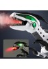 Spray Dinosaur